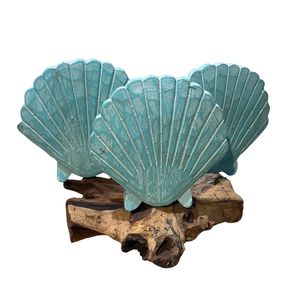 3 SHELLS ON STAND ON DRIFTWOOD 1
