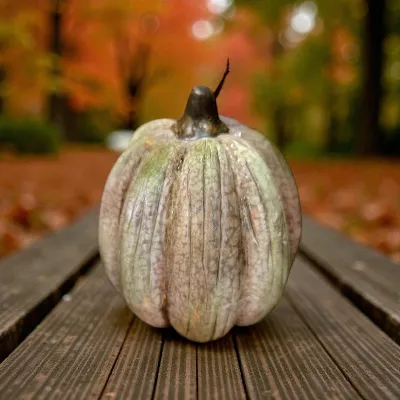 Orchard Pumpkin 3x3x4in