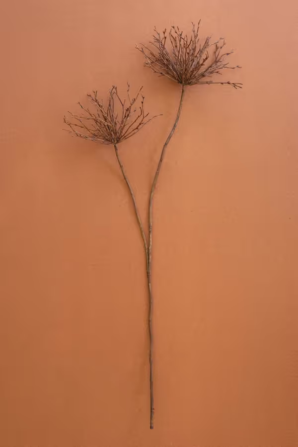 Artificial Spider Branch