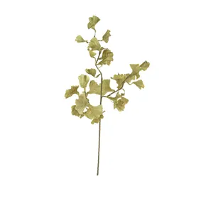 Botanica #3558 4
