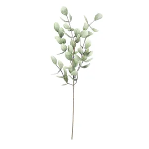 Botanica #875 1