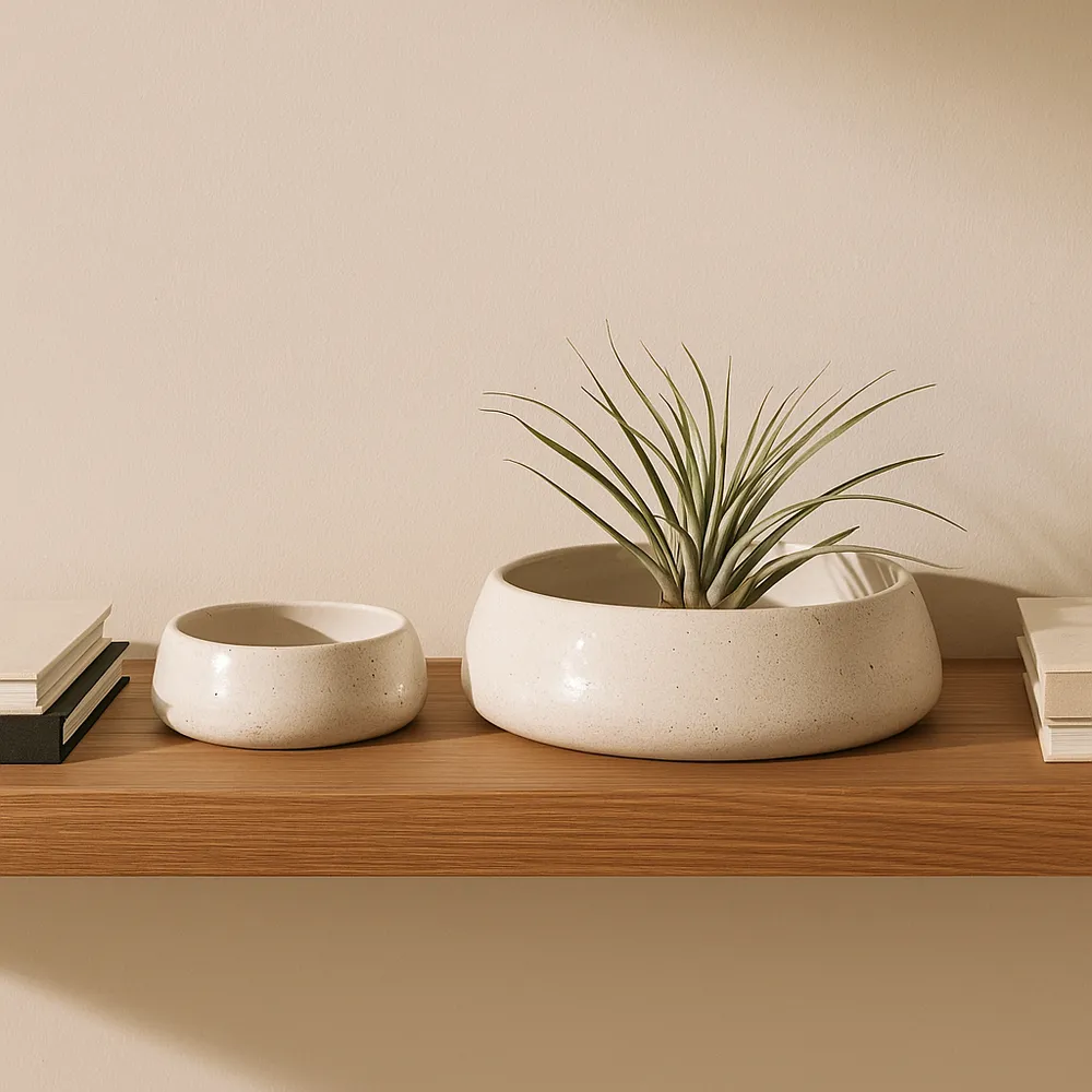 HOLLISHOLM SET OF 2 WHITE BOWLS 4 (IN)
