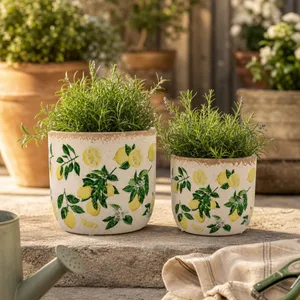 CHLOE SET OF 2 YELLOW PLANTER 7 (IN) 10