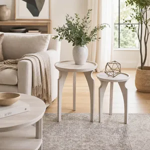 DENVERWELL SET OF 2 WHITE TABLE 22 (IN) 11