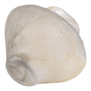 ROLANDCROSS IVORY GLASS VASE 10 (IN) 5