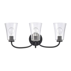 Emily 23'' Wide 3-Light Vanity Light - Matte Black 2