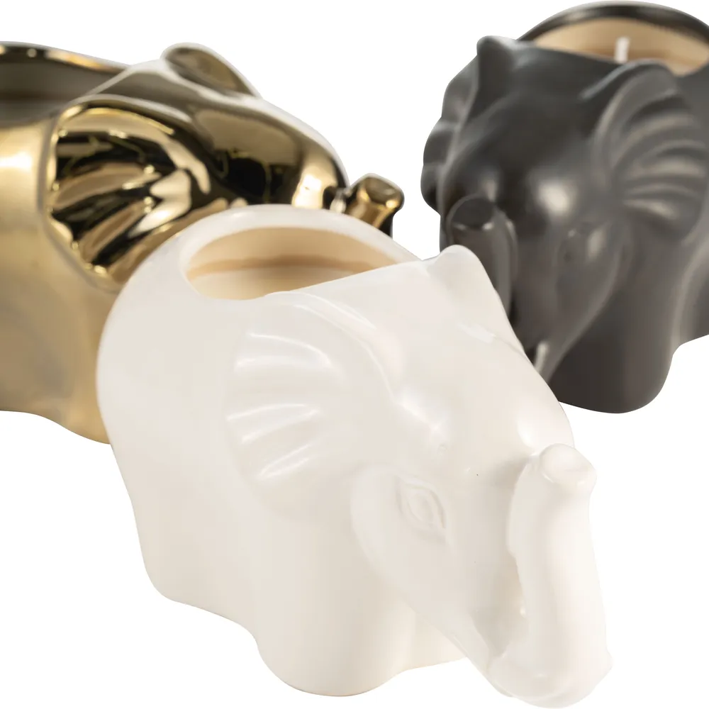 ARNETTCLIFF SET OF 3 PLUMERIA CANDLE 5 (IN)