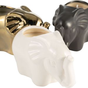 ARNETTCLIFF SET OF 3 PLUMERIA CANDLE 5 (IN) 6