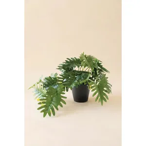 Artificial Mini Philodendron in a Black Plastic Pot 3