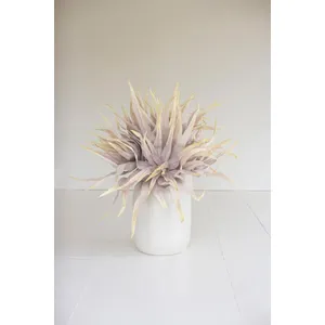 Botanica #2849 1