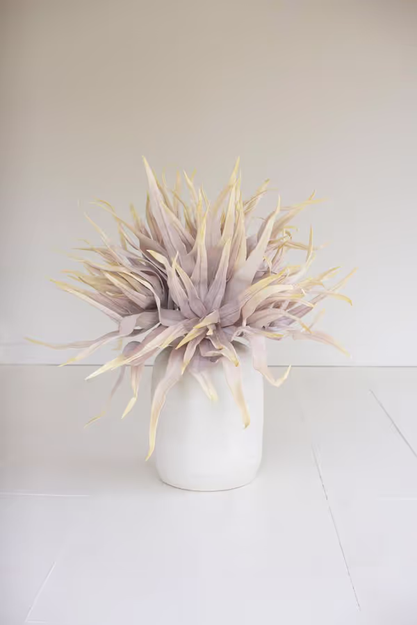 Botanica #2849