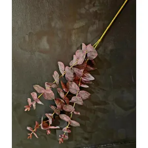 Blackberry Mist Eucalyptus 32in 1
