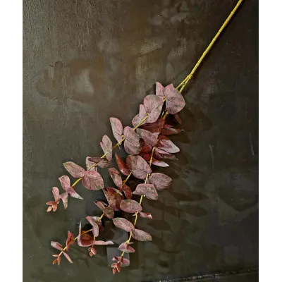 Blackberry Mist Eucalyptus 32in