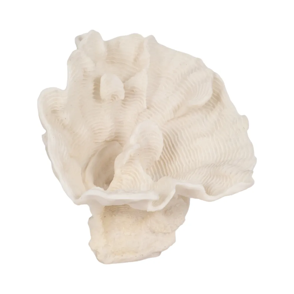 BRENDANSHAW IVORY DECOR 12 (IN)