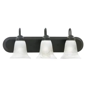 Homestead 24'' Wide 3-Light Vanity Light - Painted Bronze 1