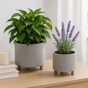 BRADY SET OF 2 SILVER PLANTER 6 (IN) 12