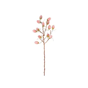 Botanica #3572 4