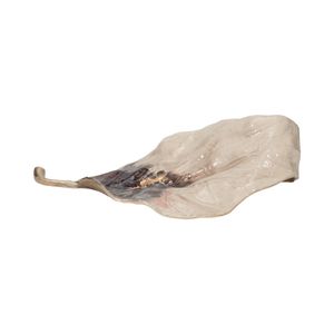 WINTONWIND IVORY METAL 6 (IN) 1