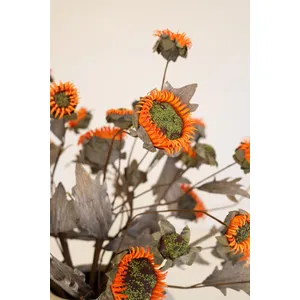 Botanica #2890 4