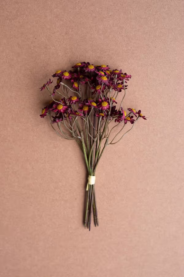 Faux Chamomile Bundle / Burgandy
