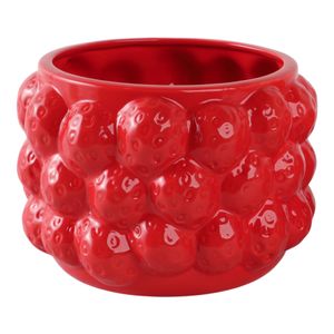 CALWIND RED PLANTER 6 (IN) 1