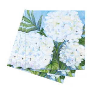 White Hydrangea