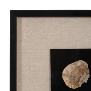 CALLAND BROWN ART 47 (IN) 5
