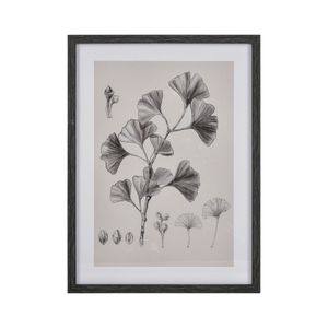 Foliage II Framed Wall Art - Ivory 1