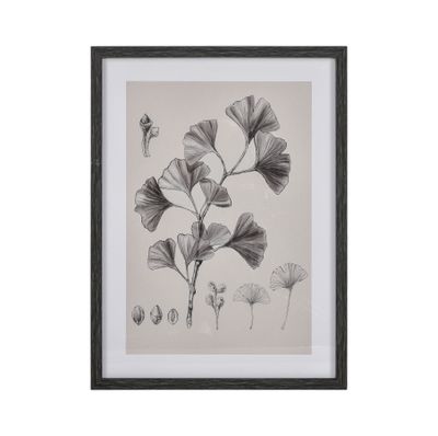 Foliage II Framed Wall Art - Ivory