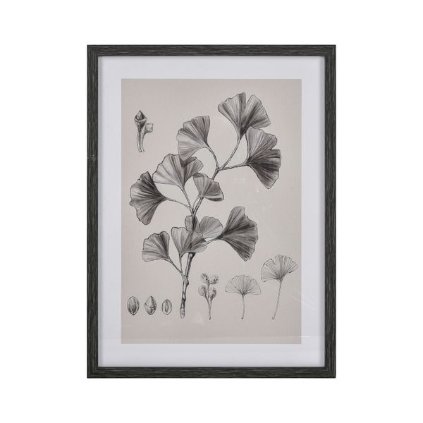 Foliage II Framed Wall Art - Ivory