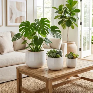 RAYMONDHAVEN SET OF 3 IVORY PLANTER 9 (IN) 11