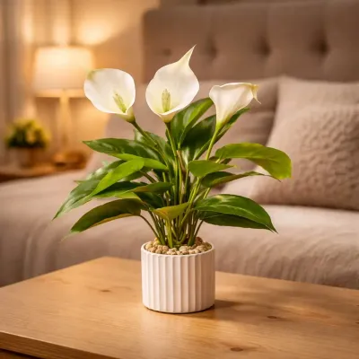 White Calla Lilly Pot 16in