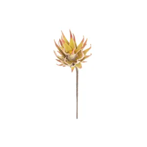 botanica #2855 4