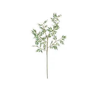 Botanica #3436 6