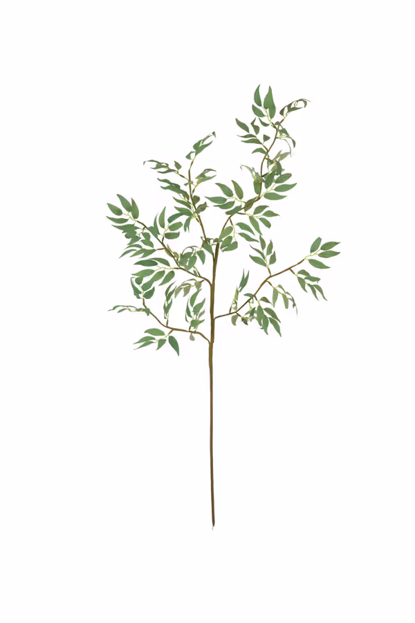 Botanica #3436