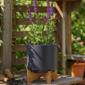 NORMAHAVEN GRAY PLANTER 9 (IN) 12