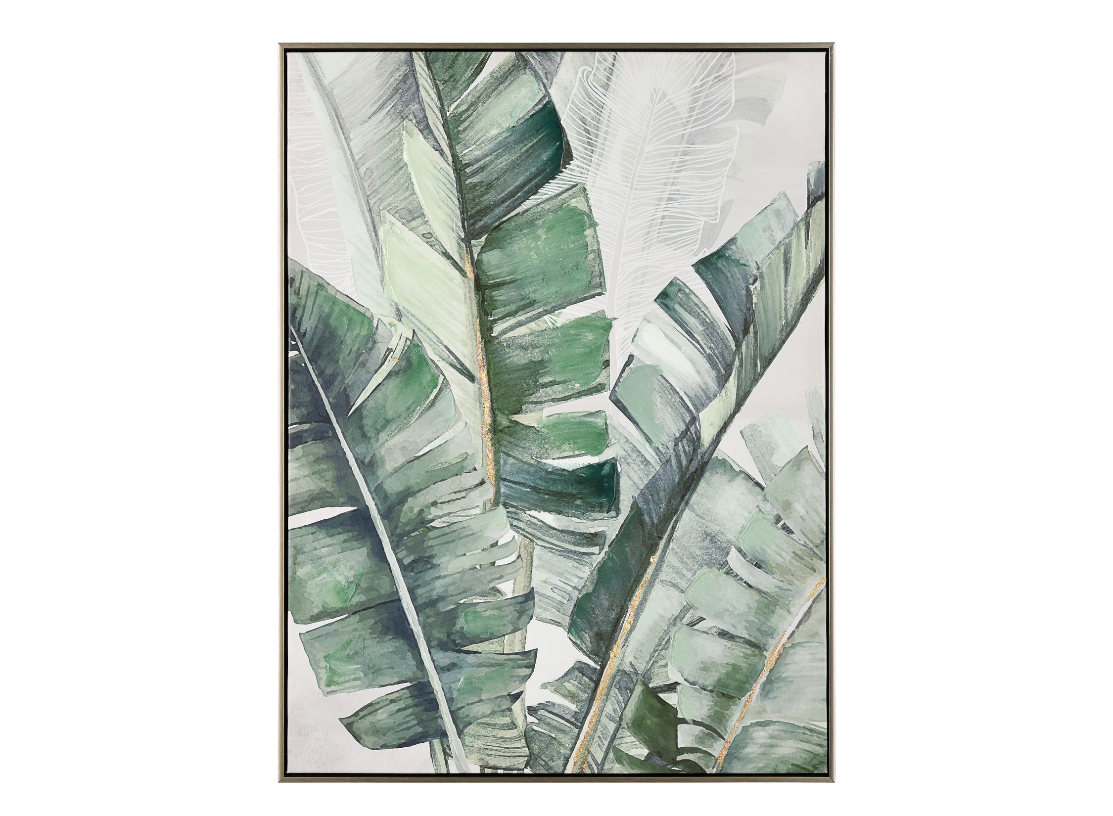 Musa