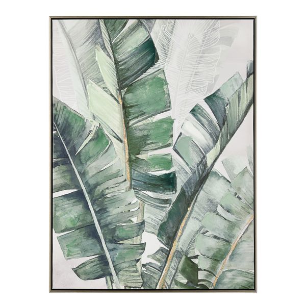 Musa
