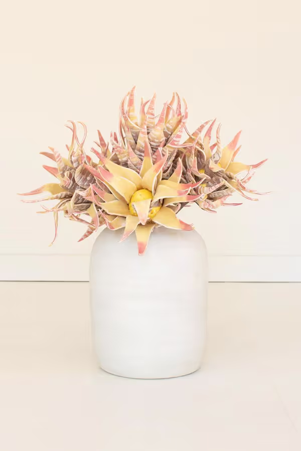 botanica #2855