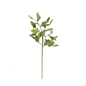 Botanica #2425 1