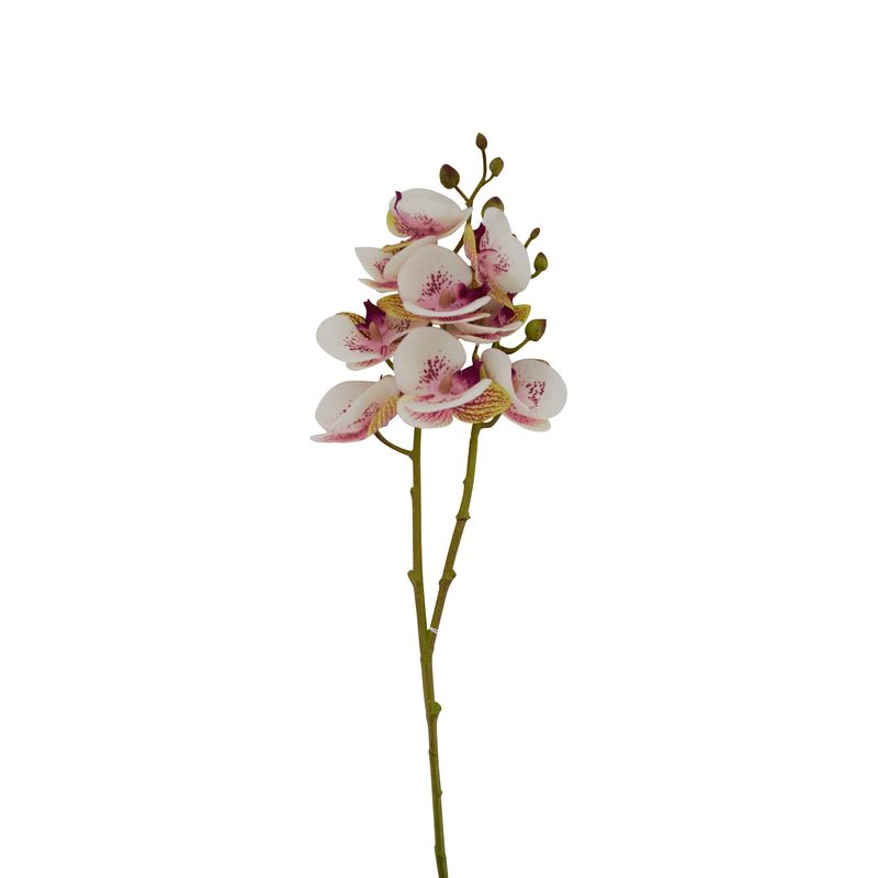 27" Phalaenopsis Spray, Cream & Purple