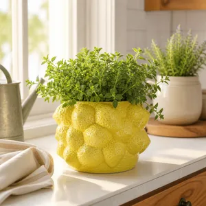 CALWIND YELLOW PLANTER 6 (IN) 12