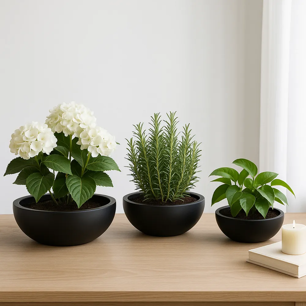 SHAYHOLM SET OF 3 BLACK PLANTER 6 (IN)