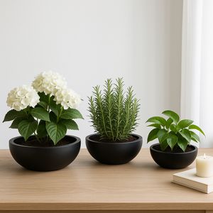 SHAYHOLM SET OF 3 BLACK PLANTER 6 (IN) 10