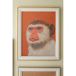 Set of 5 Framed Animal Prints 2