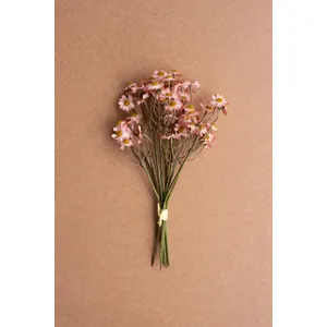 Faux Chamomile Bundle / Blush 1