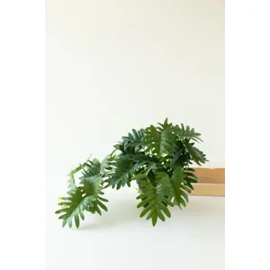 Artificial Mini Philodendron in a Black Plastic Pot 2