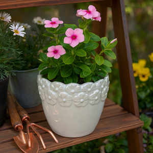 SLATERGATE IVORY PLANTER 6 (IN) 11