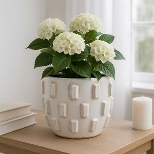 8X7" SCULPTURAL HOBNAIL PLANTER, WHITE 11