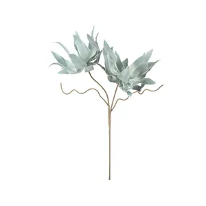 Botanica #2547 3